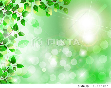 新緑 新緑 40337467