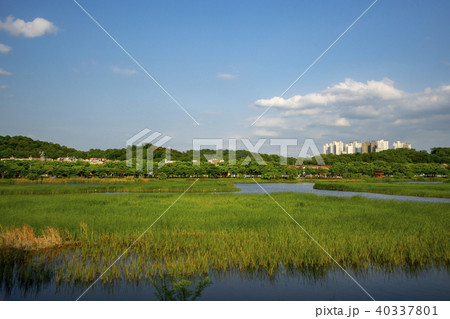 風景 空 雲 40337801