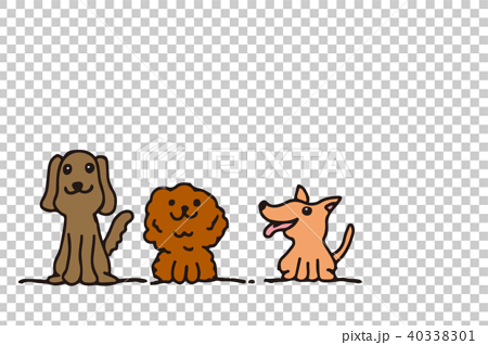 3匹の犬 わんちゃん イラストのイラスト素材 40338301 Pixta