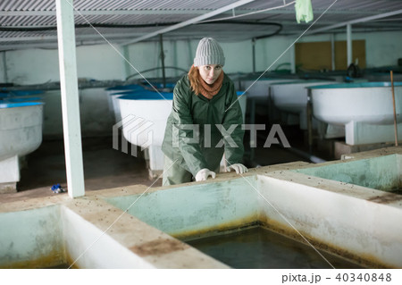 Woman near fish tank on sturgeon farm Woman near fish tank on sturgeon farm 40340848