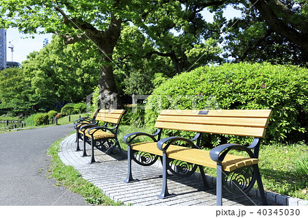 東京 日比谷公園 新緑 ベンチの写真素材