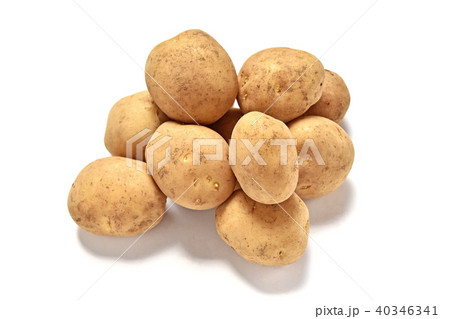 赤土新じゃが芋 40346341
