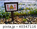 立ち入り禁止の花畑 40347116