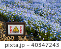 花壇に立入禁止 40347243