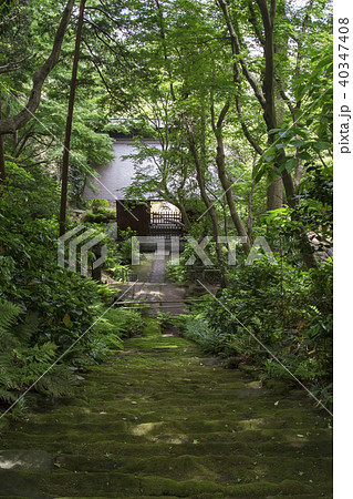 妙法寺の苔石段と仁王門 鎌倉市大町 の写真素材