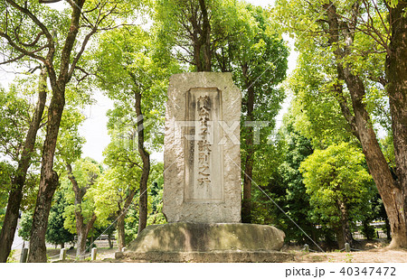 史跡桜井駅跡史跡公園 40347472