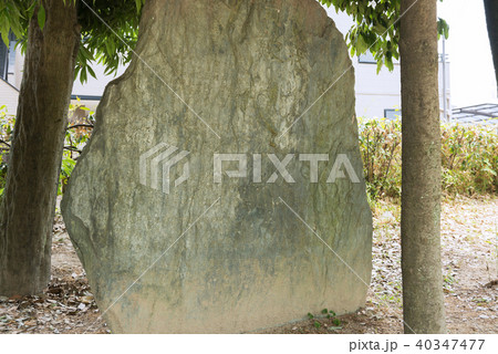 史跡桜井駅跡史跡公園 40347477