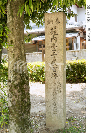 史跡桜井駅跡史跡公園 史跡桜井駅跡史跡公園 40347480