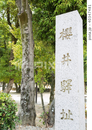 史跡桜井駅跡史跡公園 史跡桜井駅跡史跡公園 40347481