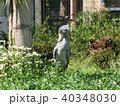 ハシビロコウ 40348030