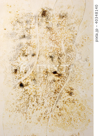 人体　ヌード　サビ 40348140