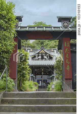 常栄寺～ぼたもち寺（鎌倉市大町） 40348493
