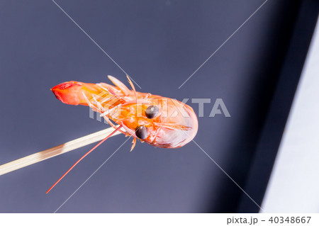 shrimp cuisine shrimp cuisine 40348667