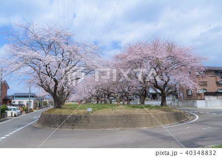 宮城県富谷市東向陽台グリーンベルト  40348832