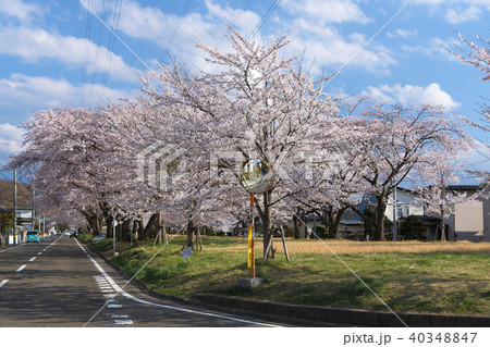宮城県富谷市東向陽台グリーンベルト  40348847