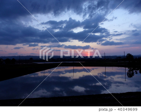 夕暮れ時の田んぼ 夕暮れ時の田んぼ 40349699