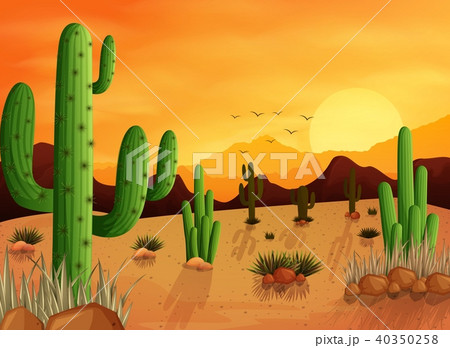 Desert Landscape Background With Cactusesのイラスト素材