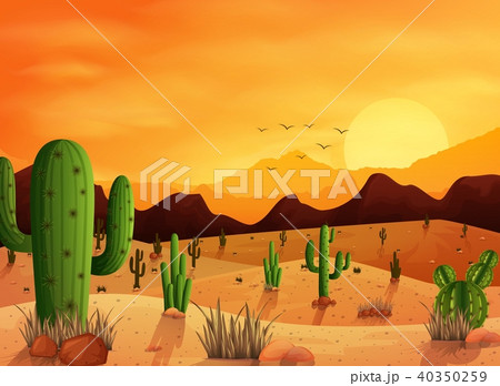 Desert landscape background with cactuses 40350259