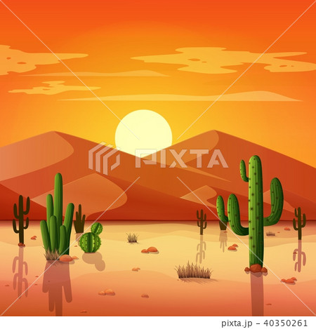 Desert Landscape With Cactuses On The Sunset Backgのイラスト素材