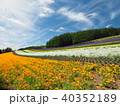 夏の富良野 40352189