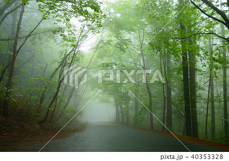 霧の新緑森林・岡山森林公園 40353328