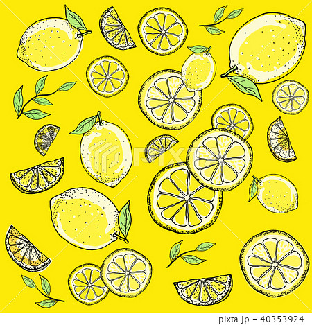 レモン 手描きの線画のイラスト素材