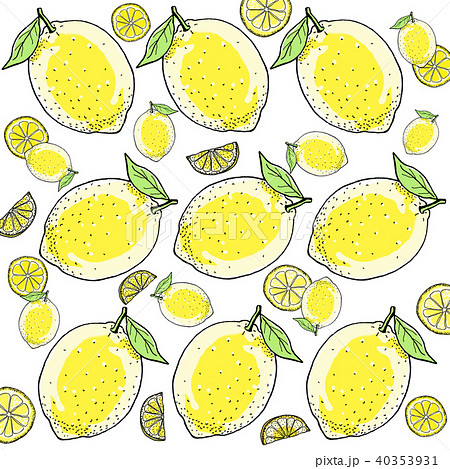 レモン 手描きの線画のイラスト素材