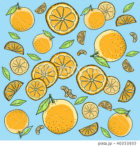 オレンジ 手描きの線画のイラスト素材