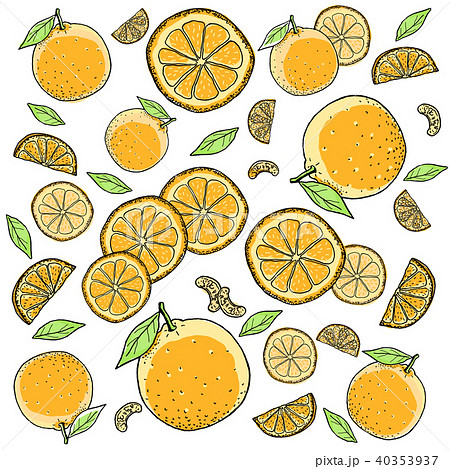 オレンジ 手描きの線画のイラスト素材 40353937 Pixta