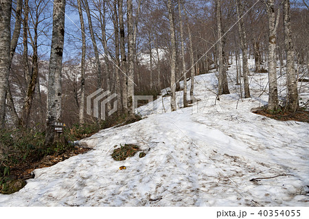 鑓温泉 登山口 鑓温泉 登山口 40354055