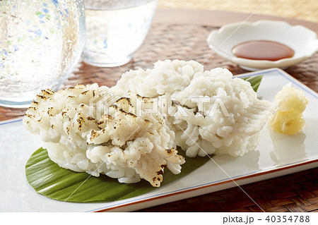 ハモ寿司 (parboiled conger pike Sushi) 40354788