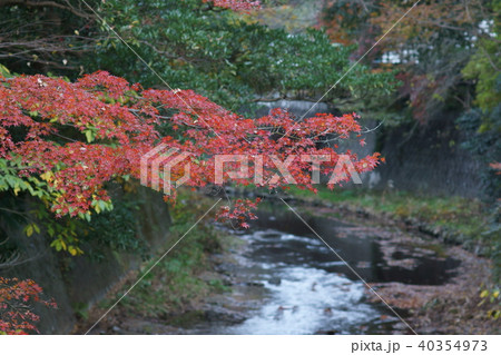 滑川　東勝寺橋より 40354973