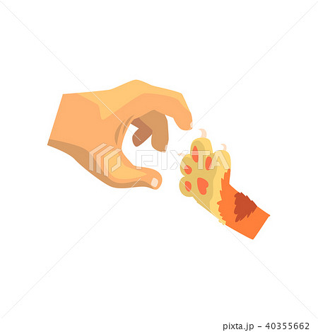 Human hand and cat paw, friends forever, training, veterinary care concept vector Illustration on a Human hand and cat paw, friends forever, training, veterinary care concept vector Illustration on a 40355662