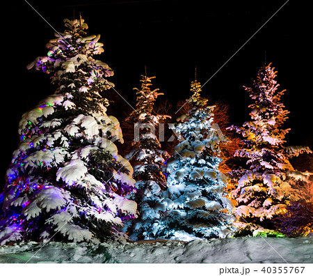 Christmas firtree Christmas firtree 40355767