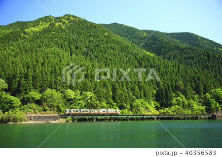新緑の高山本線 40356583