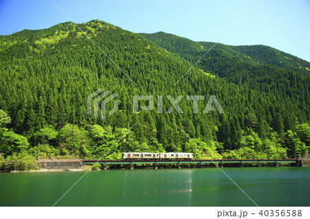 新緑の高山本線 新緑の高山本線 40356588