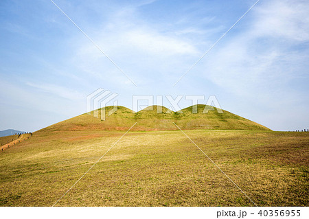 墓 風景 芝生 40356955