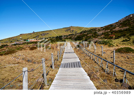 風景 韓国 漢拏山 40356989
