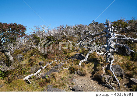 韓国 漢拏山 済州 40356991