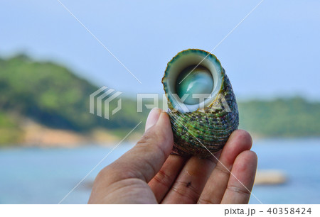 Snail with blue sea background Snail with blue sea background 40358424