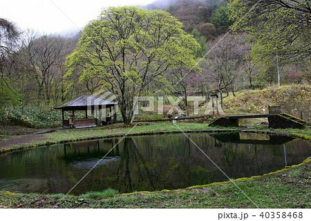 初夏の風景 初夏の風景 40358468