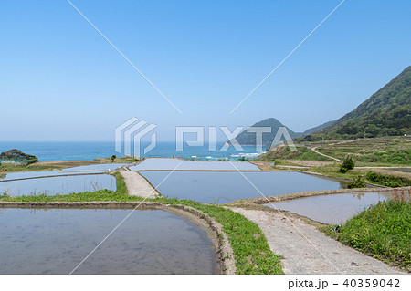 袖志の棚田 40359042