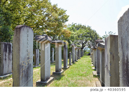 墓石 韓国 トンジェヨウンジ 40360595