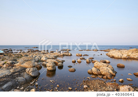 ホミ岬 海 岩 40360641