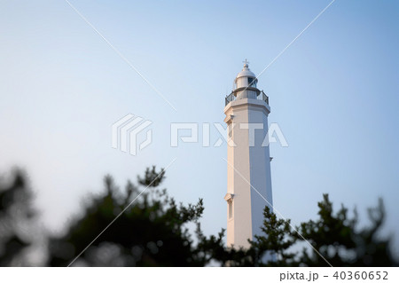 ホミ岬灯台 灯台 韓国 40360652