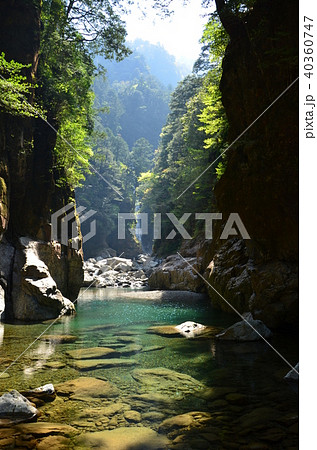 大杉谷渓谷 40360747
