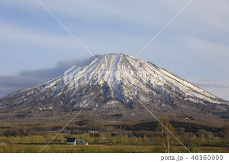 倶知安町、八幡駐車場から見る雪解けの羊蹄山 40360990