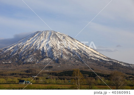 倶知安町、八幡駐車場から見る雪解けの羊蹄山 倶知安町、八幡駐車場から見る雪解けの羊蹄山 40360991