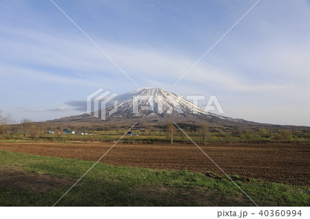 倶知安町、八幡駐車場から見る雪解けの羊蹄山 倶知安町、八幡駐車場から見る雪解けの羊蹄山 40360994