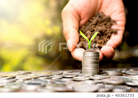 Coins placed and sprouts on top. Coins placed and sprouts on top. 40361735